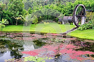 Colorful Pond and Watermill photo