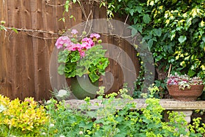 Colorful potted plants in garden corner.