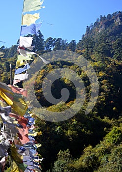 Colorful Prayer Flags Flutter In Alpine