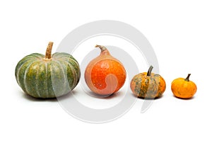 Colorful pumpkin and squash, Red Kuri, Kabocha,