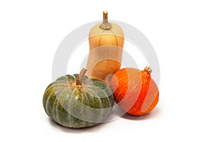 Colorful pumpkin and squash, Red Kuri, Kabocha, Butternut