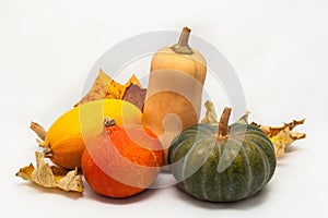 Colorful pumpkin and squash, Red Kuri, Kabocha, Butternut, Spaghetti