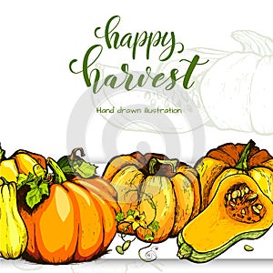Colorful pumpkin vector hand drawn illustration.