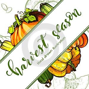 Colorful pumpkin vector hand drawn illustration.