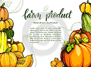 Colorful pumpkin vector hand drawn illustration.