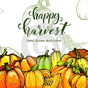 Colorful pumpkin vector hand drawn illustration. Farm market product.