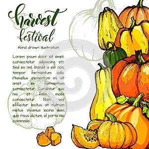 Colorful pumpkin vector hand drawn illustration. Farm market product.