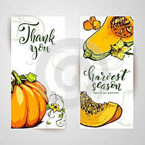 Colorful pumpkin vector hand drawn illustration. Farm market product.