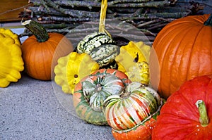 Colorful Pumpkins