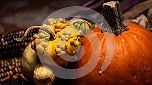 Colorful pumpkins, bumpy gourds, beautiful squash, and flint corn lie on a table during autumn. photo