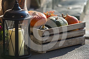 Pumpkin in a wooden box.preparation for halloween celebration photo