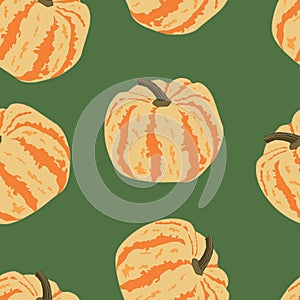 Colorful pumpkins, seamless vector pattern, green background