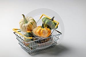 Colorful  pumpkins in a shopping basket on a white background