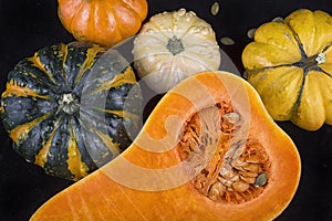 Colorful pumpkins and squash background