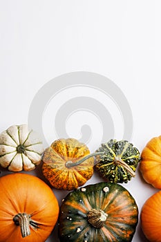 Colorful pumpkins on white