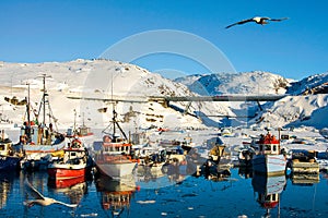 Colorful, quiet harbor in arctic region