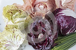 Colorful Radicchio heads