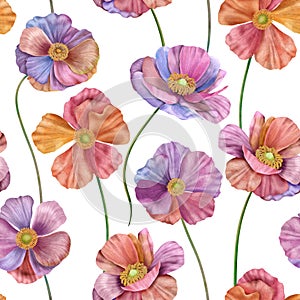 Colorful rainbow Buttercup flowers seamless pattern isolated on white Spring watercolor botanical illustration Stylized floral