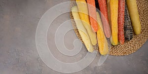 Colorful Rainbow carrot on gray background. Gradient of color carrots from yellow to purple, Yellow, orange and purple