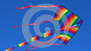 Colorful rainbow kite flying