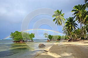 Colorful rainbow over caribbean sea and green palms.Travel background.