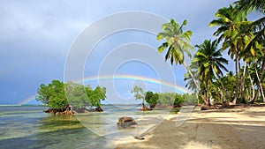 Colorful rainbow over caribbean sea and green palms.Travel background.