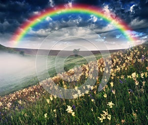 colorful rainbow over the meadow in the morning with grass and flowers