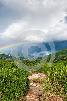 Colorful rainbow over tropical mountain valley in the rain, scenic landscape green forest and stream in countryside