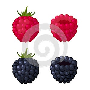 Colorful raspberry and blackberry icons