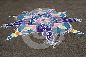 Colorful Rays of Rangoli