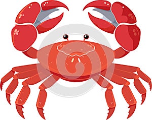 Colorful red crab vector. Sea creature shell crab icon isolated on white background
