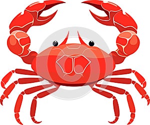 Colorful red crab vector. Sea creature shell crab icon isolated on white background