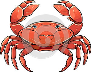 Colorful red crab vector. Sea creature shell crab icon isolated on white background