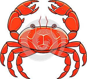 Colorful red crab vector. Sea creature shell crab icon isolated on white background