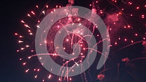 Colorful red fireworks exploding in the night sky