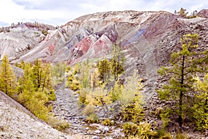 Colorful red rocks with yellow trees