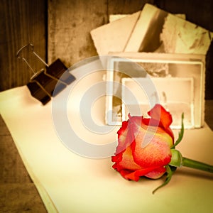 Red rose,vintage sepia photos and old paper