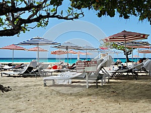 Colorful Striped Umbrellas Providing Protection From the Sun at the Beach