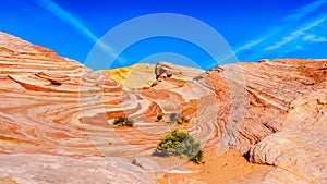 The colorful red, yellow and white banded sandstone rock formations along the Fire Wave Trail in the Valley of Fire State Park