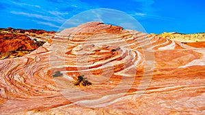 The colorful red, yellow and white banded sandstone rock formations along the Fire Wave Trail in the Valley of Fire State Park