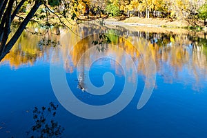 colorful reflection in river in sunny autumn day photo