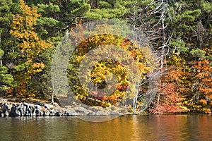 Colorful reflections of fall foliage on West Hartford reservoir.