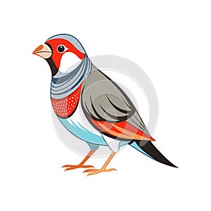 Colorful Representation of Beautiful Firetail