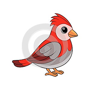 Colorful Representation of Beautiful Firetail