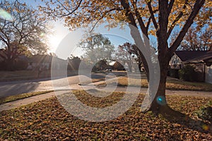 Colorful residential area in fall season near Dallas, Texas