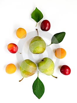 Colorful ripe fruits and leaves - pears, plums, apricots lined in composition on a white background. Fruit Pattern.