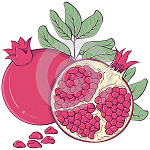 Colorful ripe pomegranate