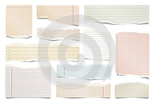 Colorful ripped paper strips isolated on white background. Realistic lined paper scraps with torn edges. Sticky notes