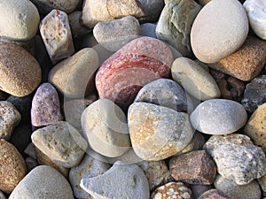 Colorful Rock Bed