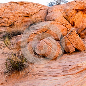 Colorful Rock Formations on The Prospect Trail, Valley Of Fire State Park